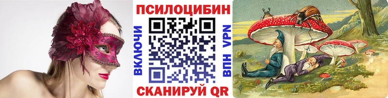 Псилоцибиновые грибы мухоморы  купить наркоту  Горбатов 